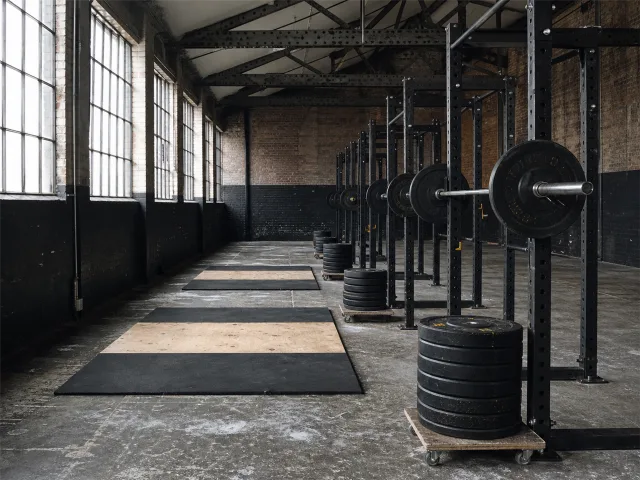 Squat racks and lifting platforms along the window wall