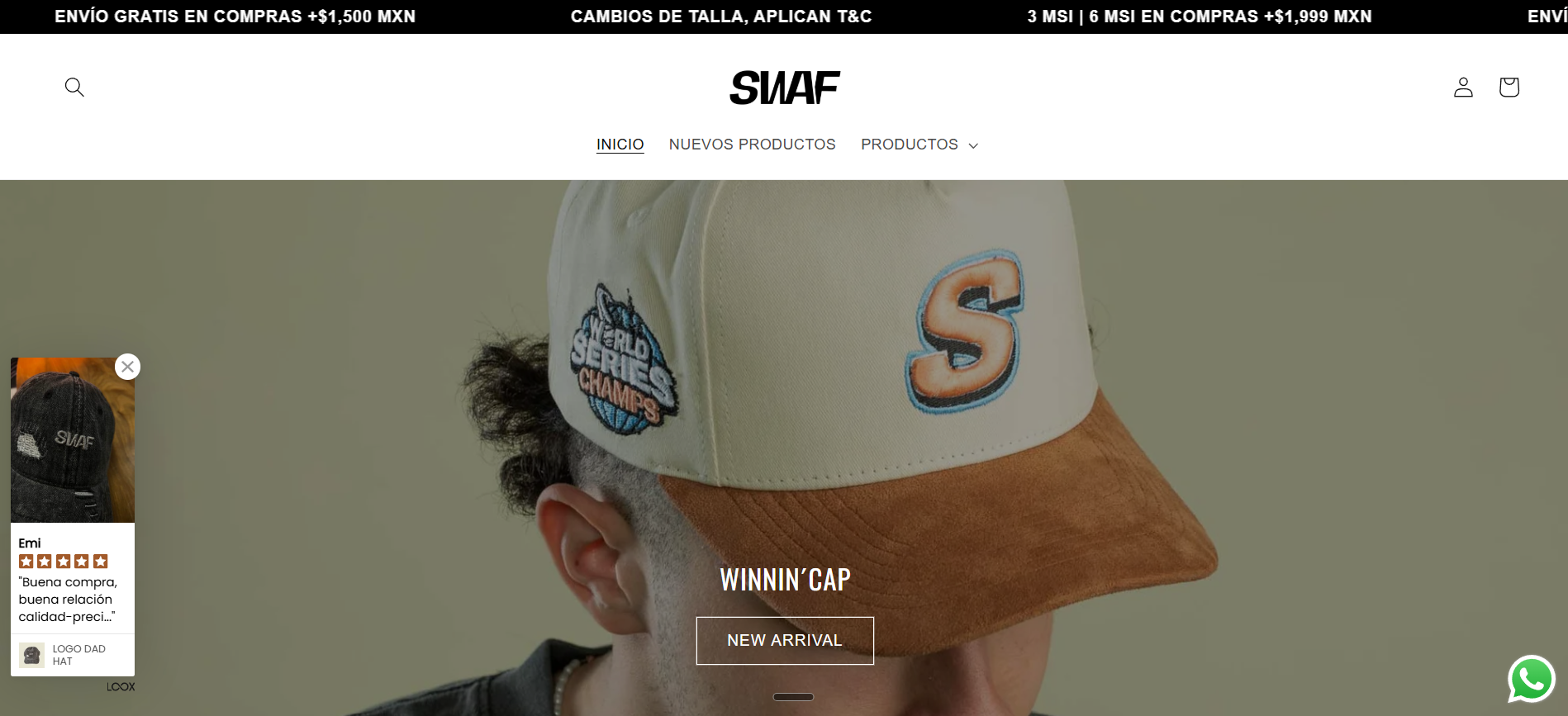 SWAF homepage screenshot
